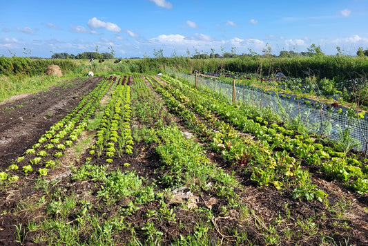 Table to Farm-Dinner am 07.08.2026